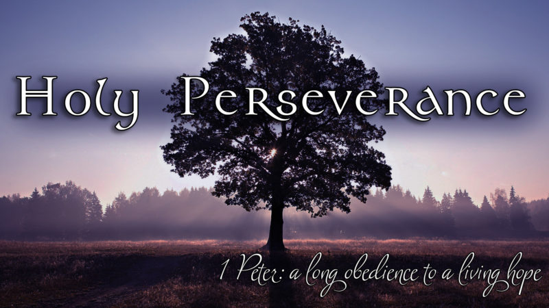 Holy Perseverance: A Long Obedience to a Living Hope